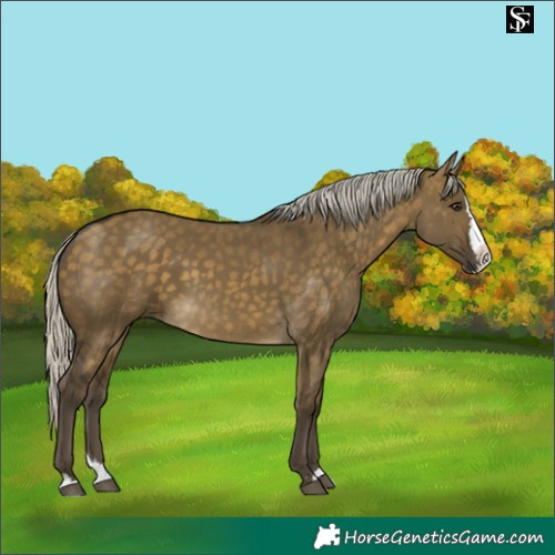 Horse Color:Silver Buckskin Dun Splash 