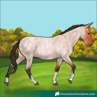 Horse Color:Bay Roan Tobiano 