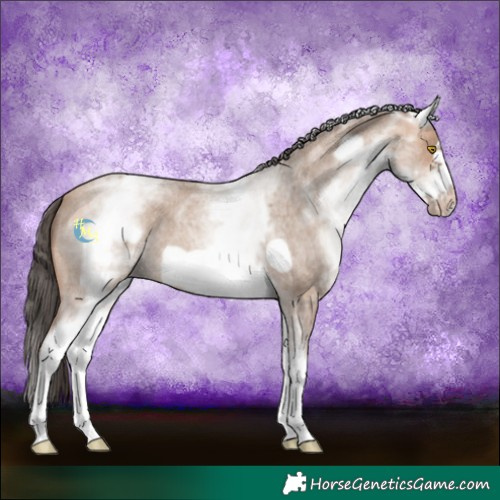 Horse Color:White Spotted Amber Champagne Roan Frame 