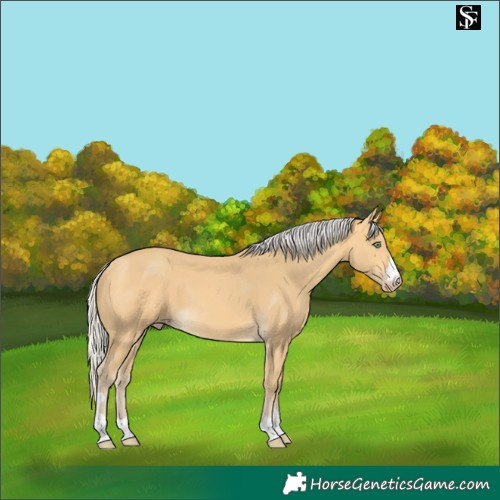 Horse Color:Silver Amber Cream Champagne 