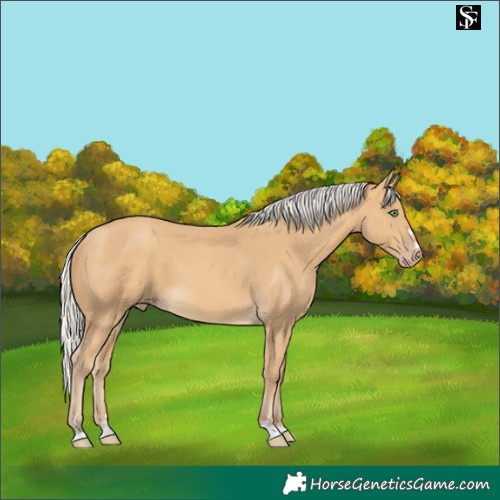 Horse Color:Silver Amber Cream Champagne 
