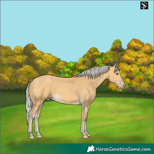 Horse Color:Silver Sable Cream Champagne