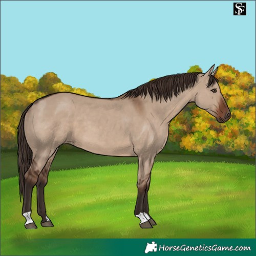 Horse Color:Liver Red Dun
