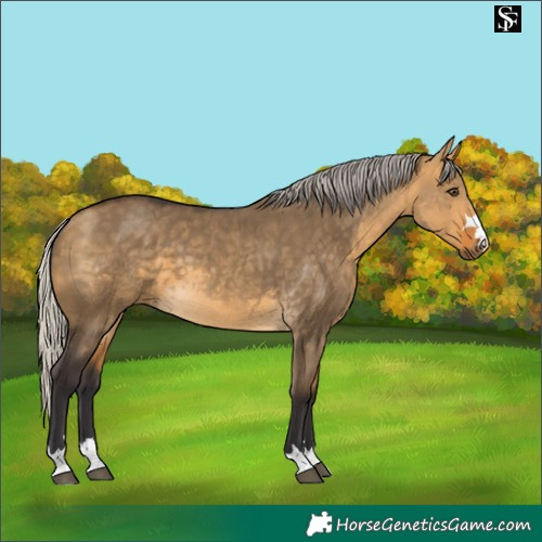 Horse Color:Silver Buckskin Dun 