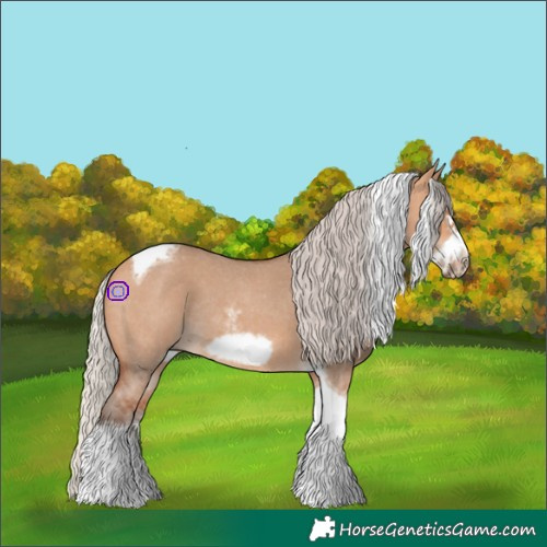 Horse Color:Silver Bay Dun Sabino Tobiano Frame Rabicano
