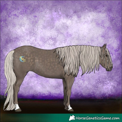 Horse Color:Silver Black