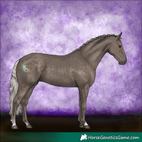 Horse Color:Silver Black
