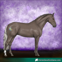 Horse Color:Silver Black 