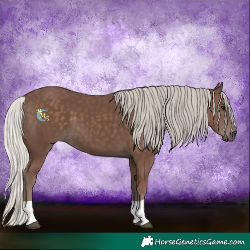 Horse Color:Silver Black
