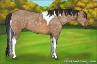Horse Color:Bay Ice Dun Tobiano 