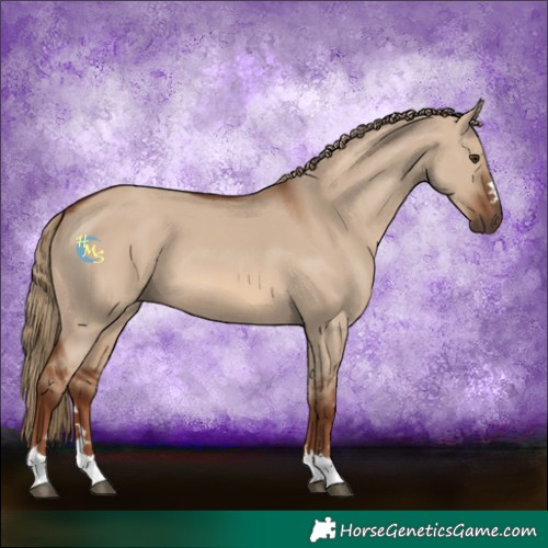 Horse Color:Red Dun