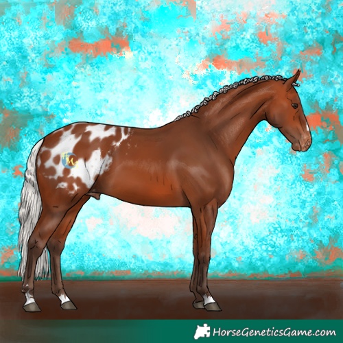 Horse Color:Silver Bay Blanket 