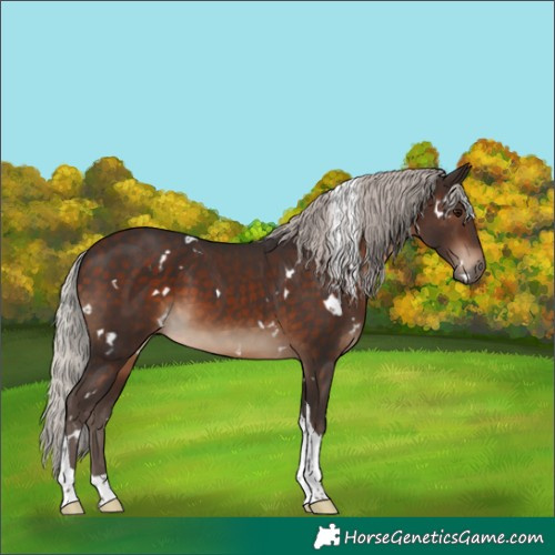 Horse Color:White Spotted Silver Brown Tobiano