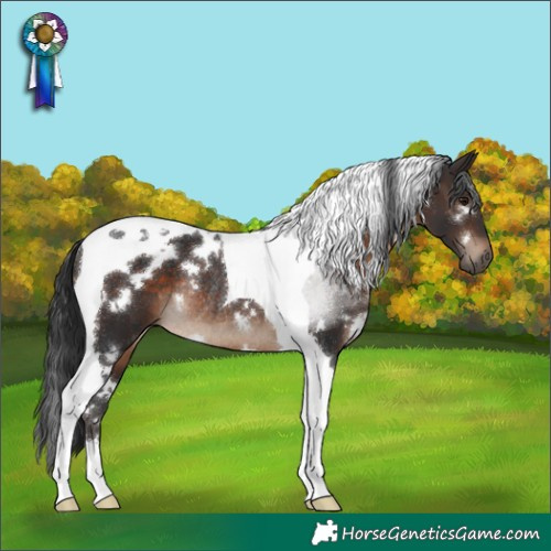 Horse Color:White Spotted Brown Tobiano Rabicano