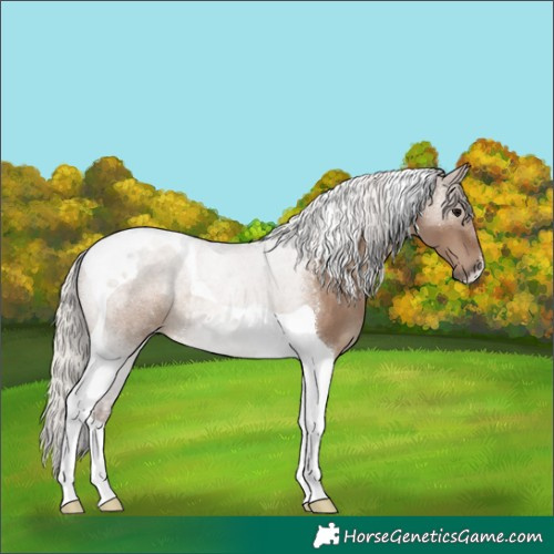 Horse Color:Silver Grullo Tobiano Rabicano