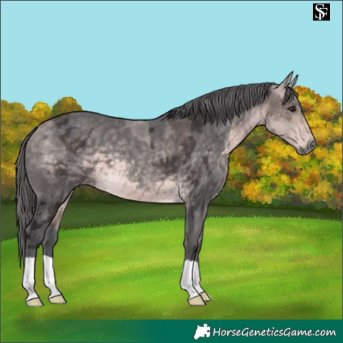 Horse Color:Platinum Buckskin Merle