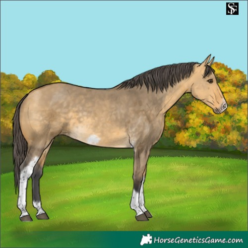 Horse Color:Buckskin Dun Merle Tobiano Frame
