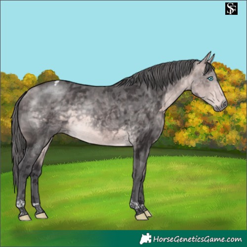 Horse Color:Platinum Buckskin Merle Tobiano 