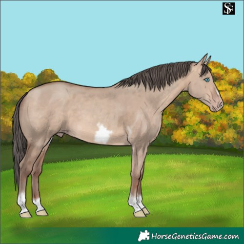 Horse Color:Sable Champagne Dun Merle Tobiano Frame