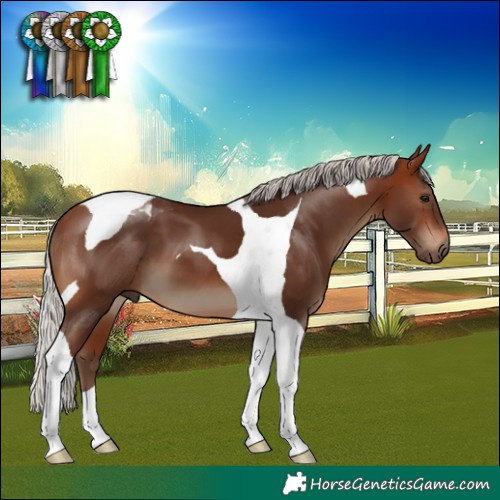 Horse Color:Silver Brown Tobiano