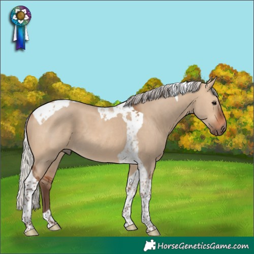 Horse Color:Silver Bay Dun Tobiano