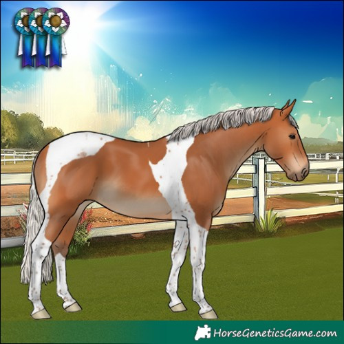 Horse Color:Silver Bay Tobiano