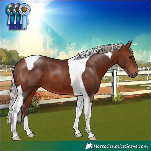 Horse Color:Silver Brown Tobiano