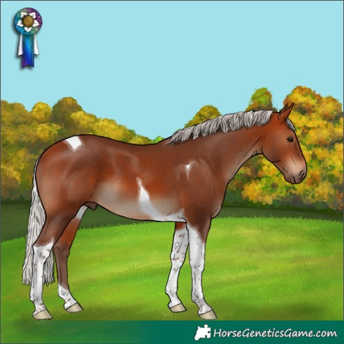 Horse Color:Silver Bay Tobiano