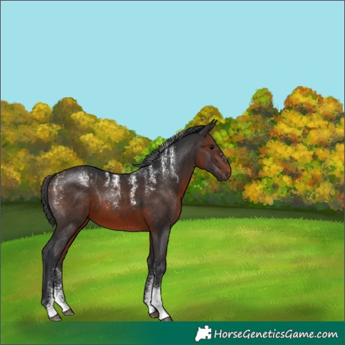 Horse Color:Powder White Brown
