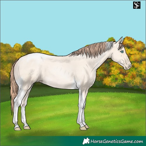 Horse Color:Amber Cream Champagne Pearl Tobiano