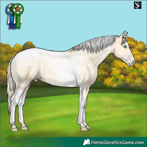 Horse Color:Gold Cream Champagne Pearl Dun Tobiano 