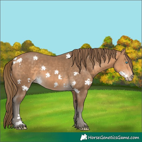Horse Color:Gray Perlino Frame