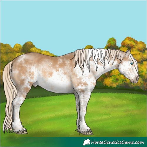 Horse Color:Powder White Chocolate Palomino Splash Tobiano Frame