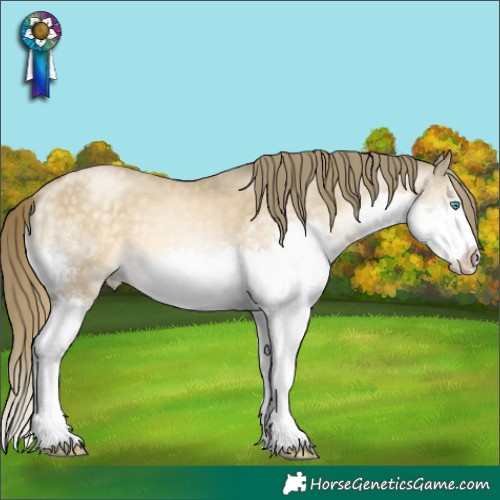 Horse Color:Buckskin Pearl Splash Rabicano