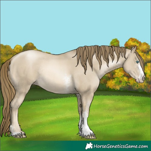 Horse Color:Smoky Grullo Pearl Sabino Rabicano 
