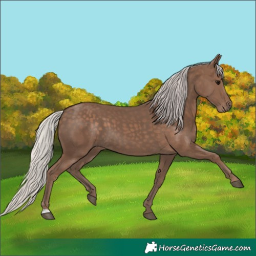 Horse Color:Silver Black 
