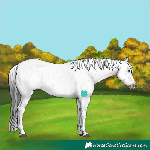 Horse Color:Brown Dun Sabino Frame