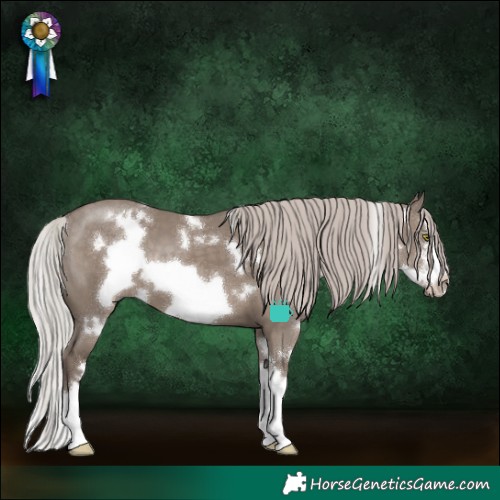 Horse Color:White Spotted Silver Grullo Sabino Splash Frame