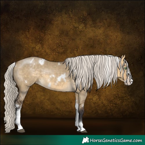 Horse Color:White Spotted Silver Buckskin Dun Splash Tobiano Varnish Rabicano