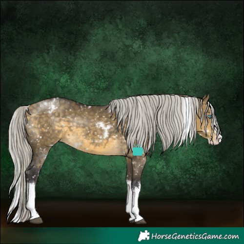 Horse Color:White Spotted Silver Buckskin Dun Splash Snowflake Varnish Rabicano 