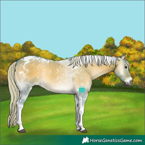 Horse Color:Watercolor Chocolate Palomino Onyx Tobiano Rabicano