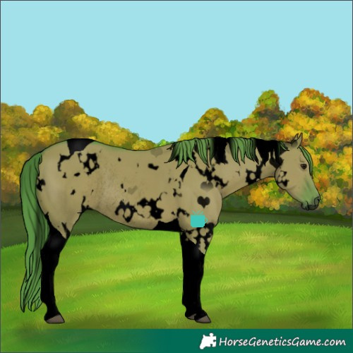 Horse Color:Void Watercolor White Spotted Grullo Tobiano Rabicano