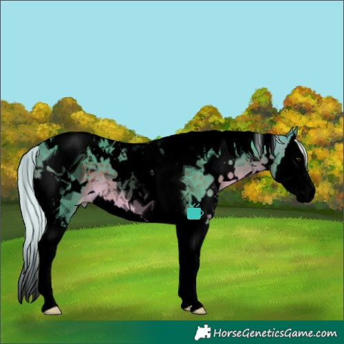 Horse Color:Void Watercolor White Spotted Silver Brown Splash Tobiano Varnish