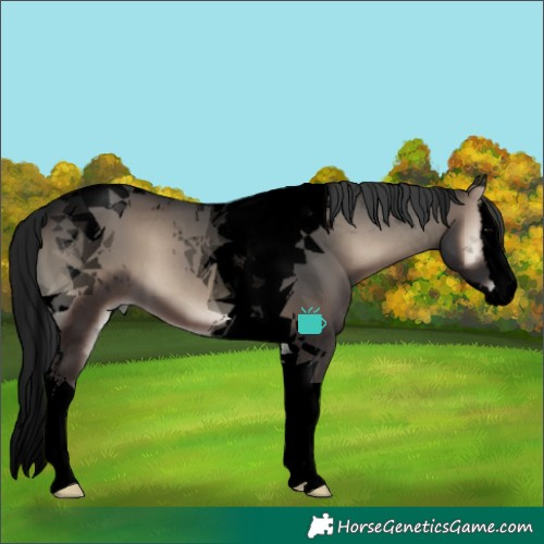 Horse Color:Void Blue Onyx Sabino Splash Tobiano
