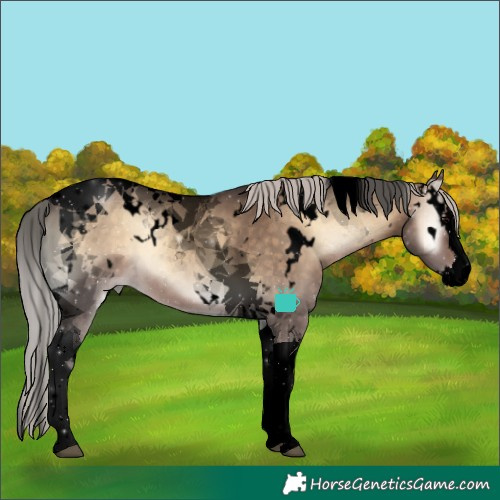 Horse Color:Void White Spotted Silver Brown Onyx Splash Tobiano