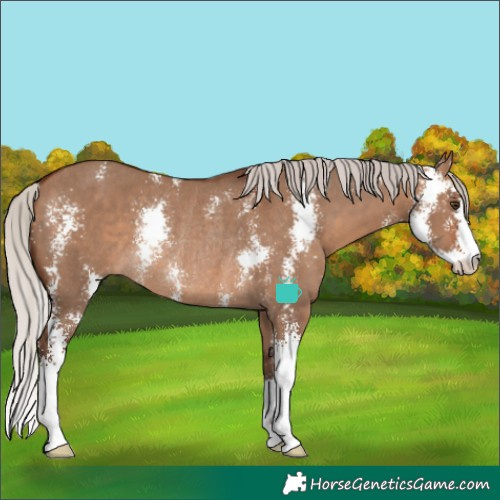 Horse Color:Silver Brown Dun Sabino Rabicano
