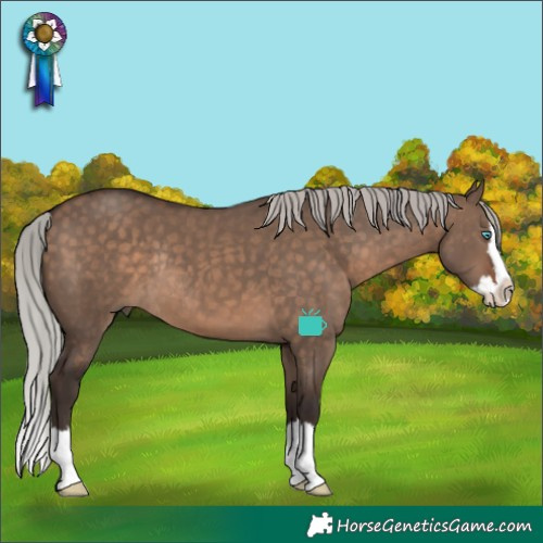 Horse Color:Silver Brown Dun Splash Rabicano