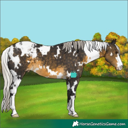 Horse Color:White Spotted Silver Buckskin Varnish