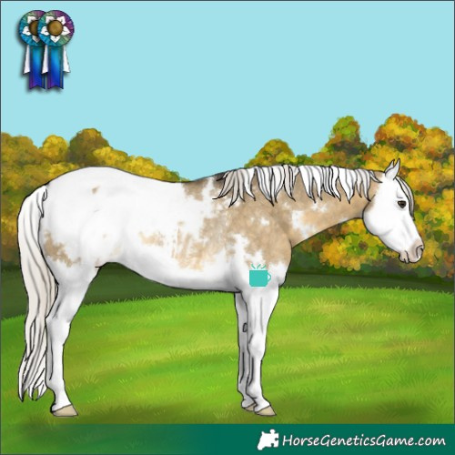 Horse Color:White Spotted Silver Buckskin Dun Splash Snowcap Rabicano