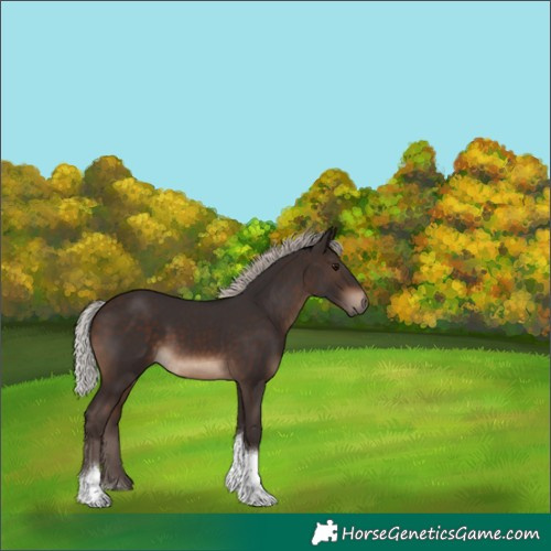 Horse Color:Silver Brown Tobiano